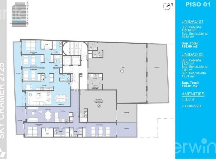 Plano 6