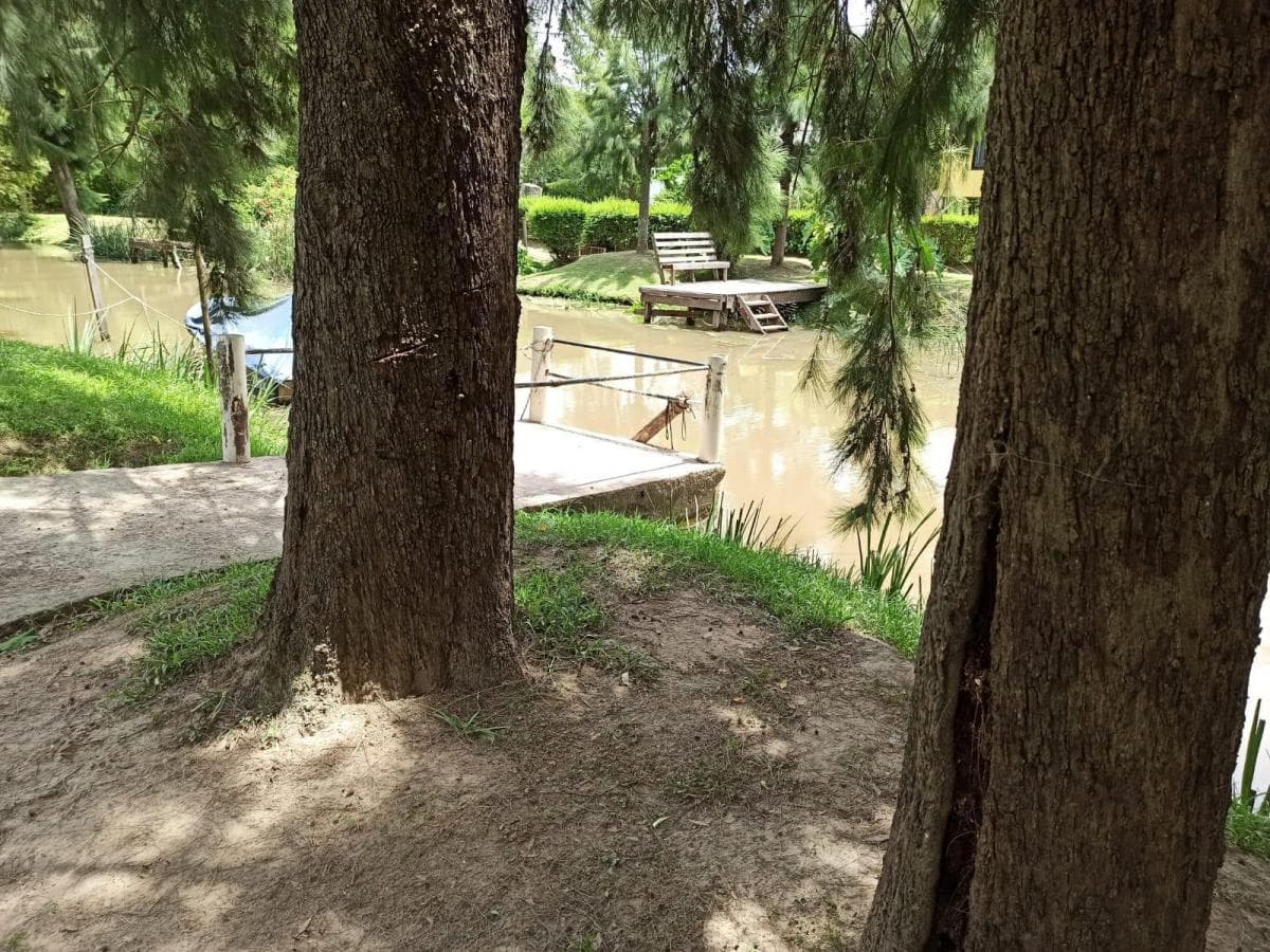 Tigre - Arroyo Curubica y Rio Sarmiento Isla Escriturada 5