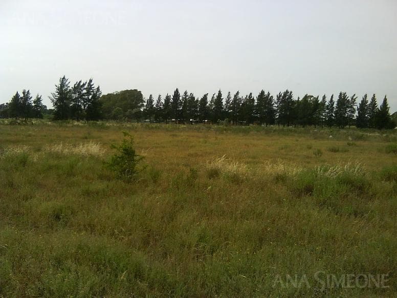 Terreno de 13.481 m² a 150 m de La Panamericana 3