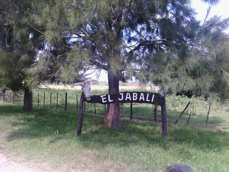 Imagen de la propiedad