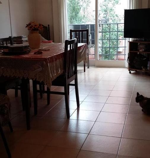 depto de 2 ambientes en barrio los alamos 2