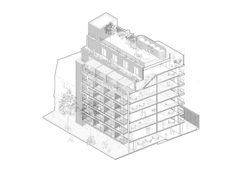 Plano 6