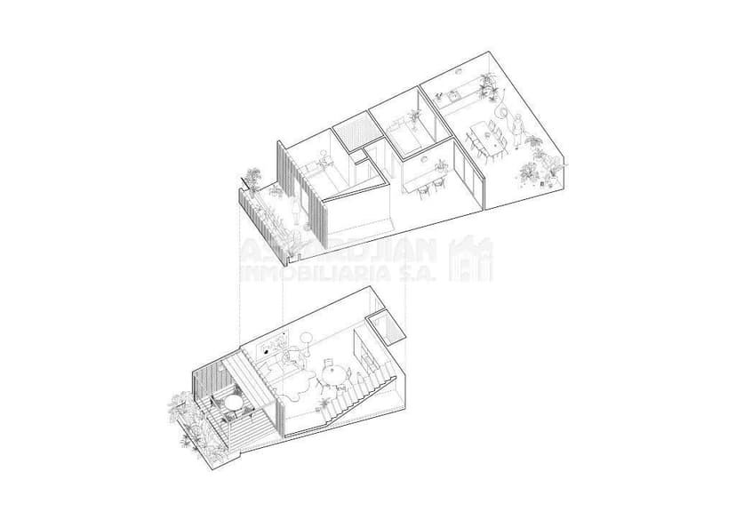 Plano 7