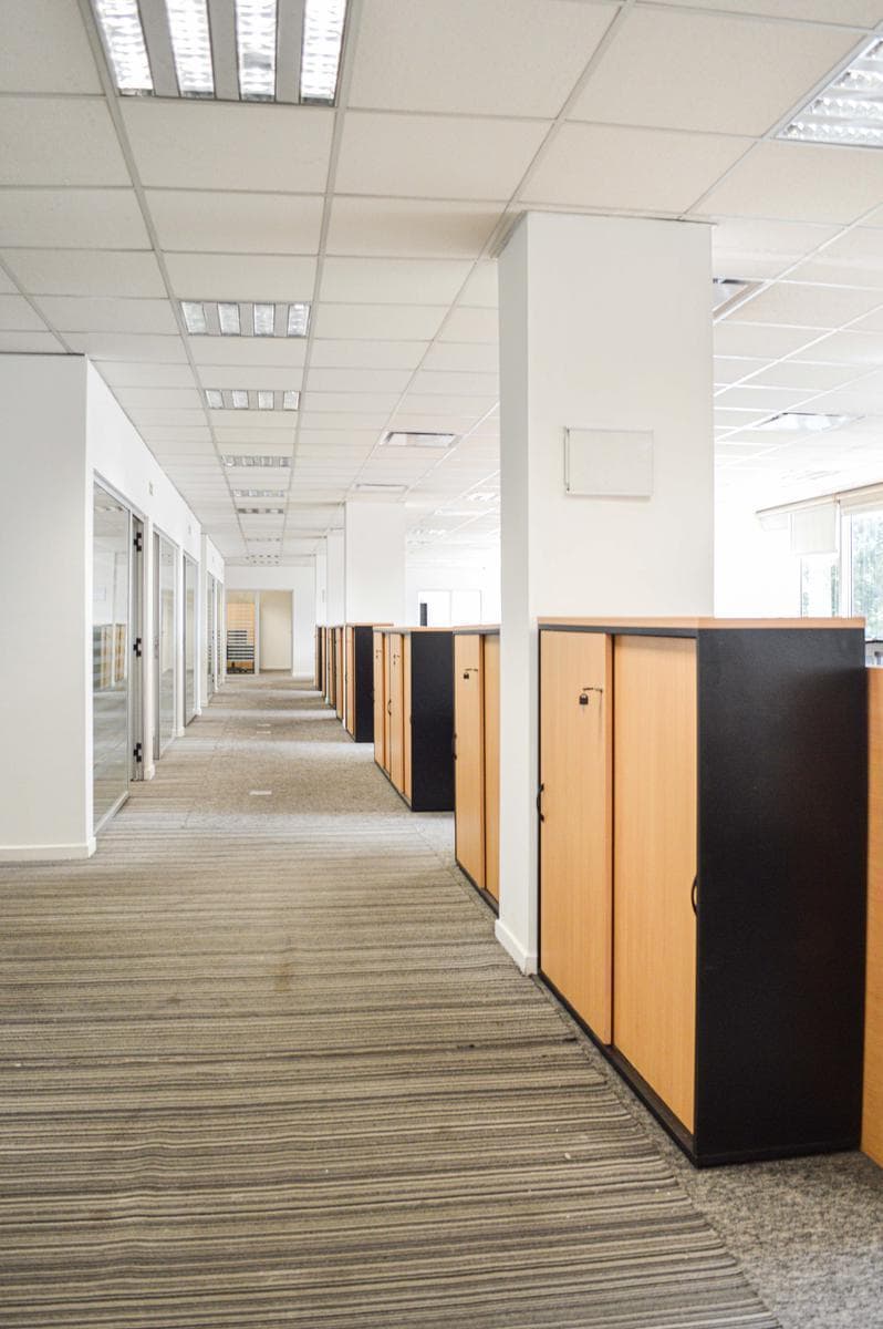 Alquiler Oficina 966 m² San Telmo 5
