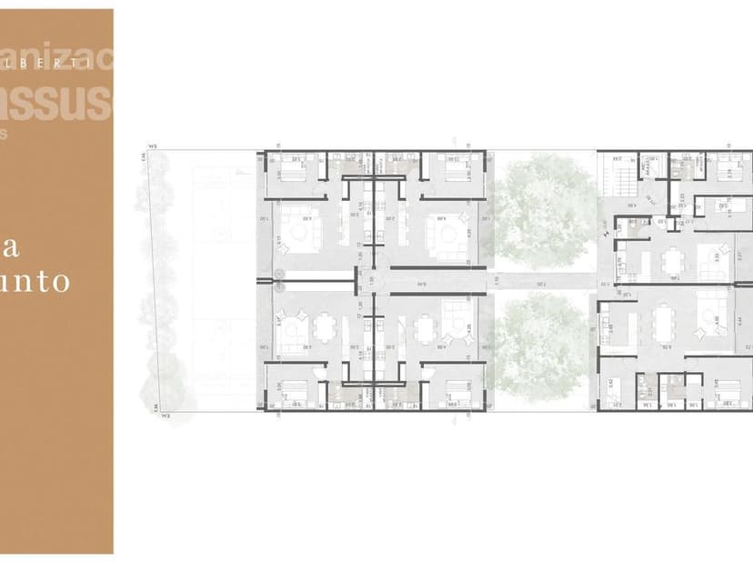 Plano 7