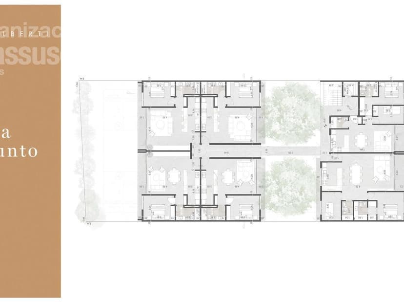 Plano 6