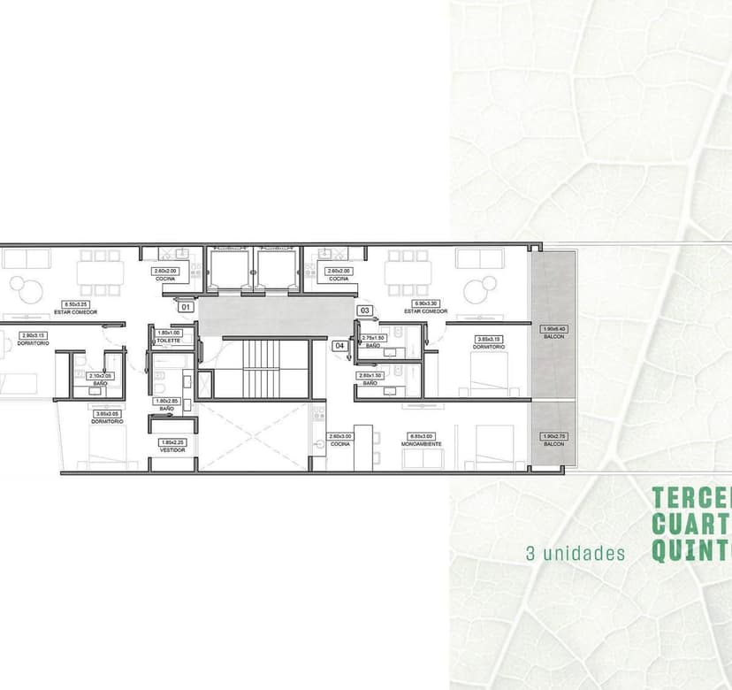 Plano 7