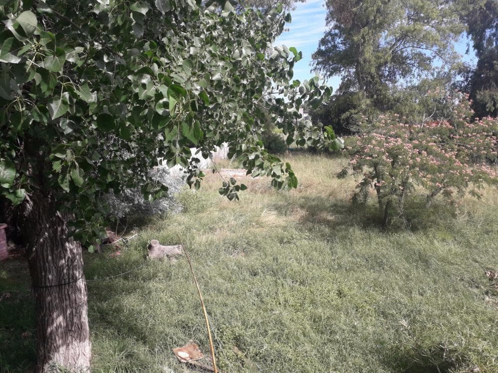 Propiedad en Argentina
