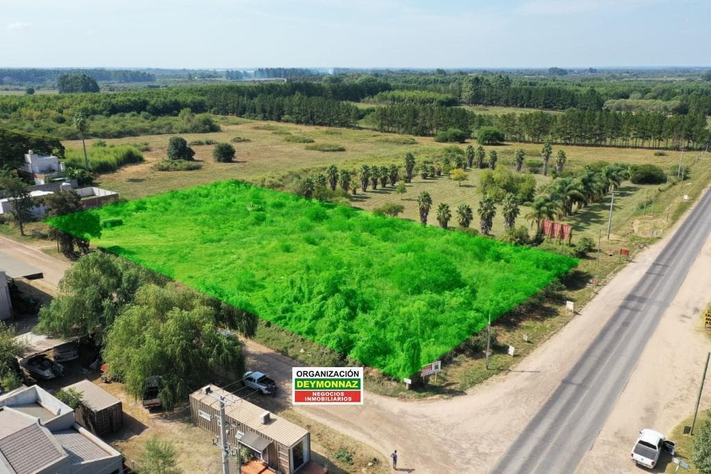 Imagen de la propiedad