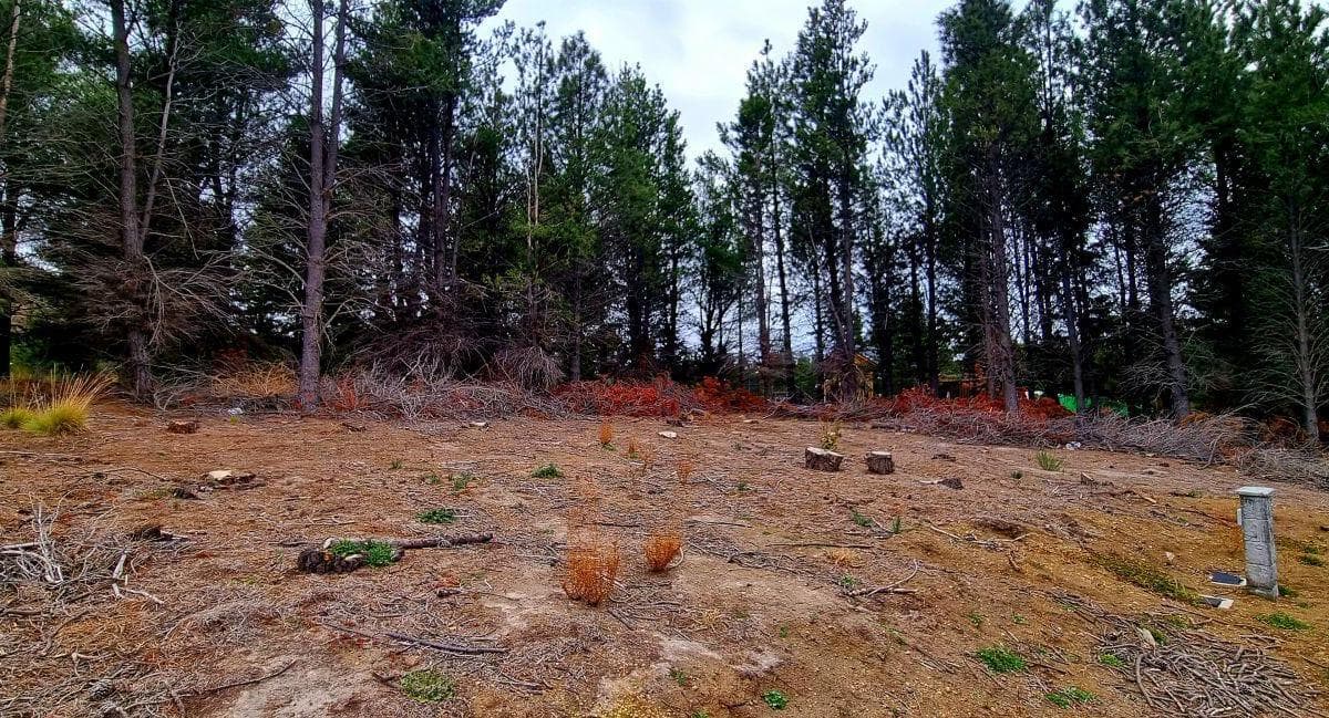 Imagen de la propiedad