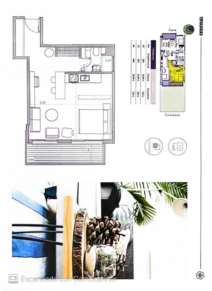 Plano 6