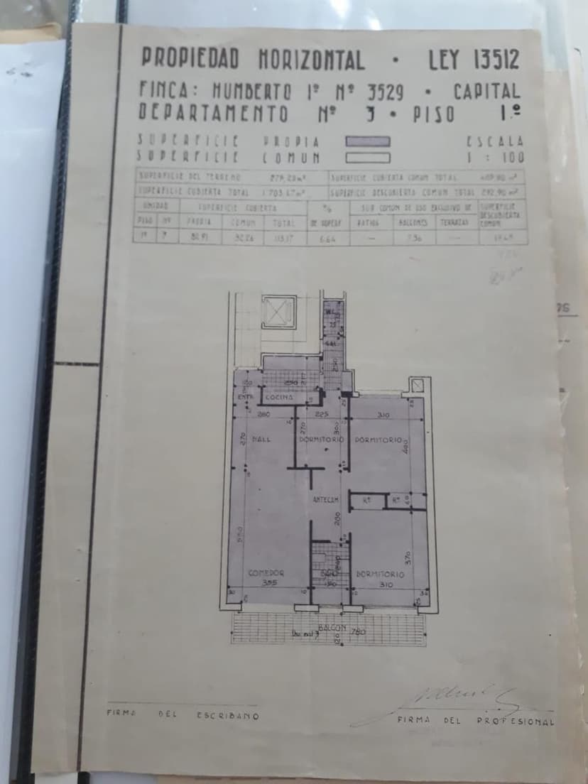 Plano 1