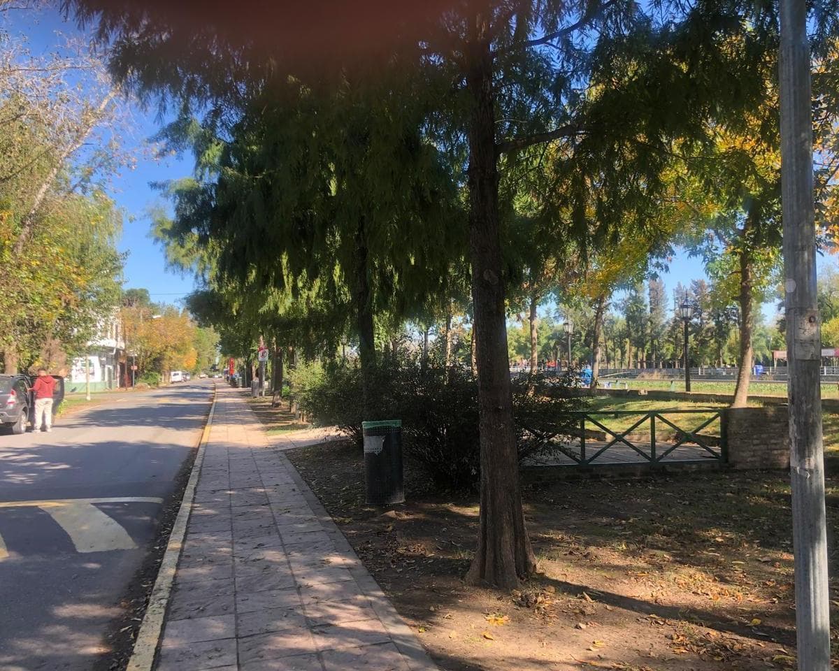 Terreno Comercial Dique Lujan 3