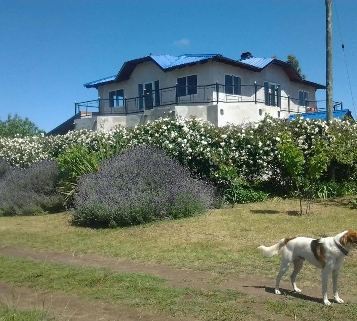 Imagen de la propiedad