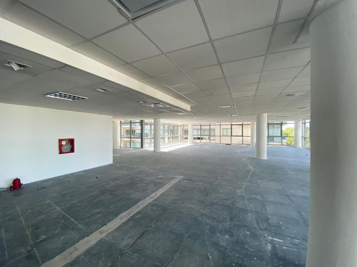 Oficina - Alquiler - Puerto Madero - 275 m² 1