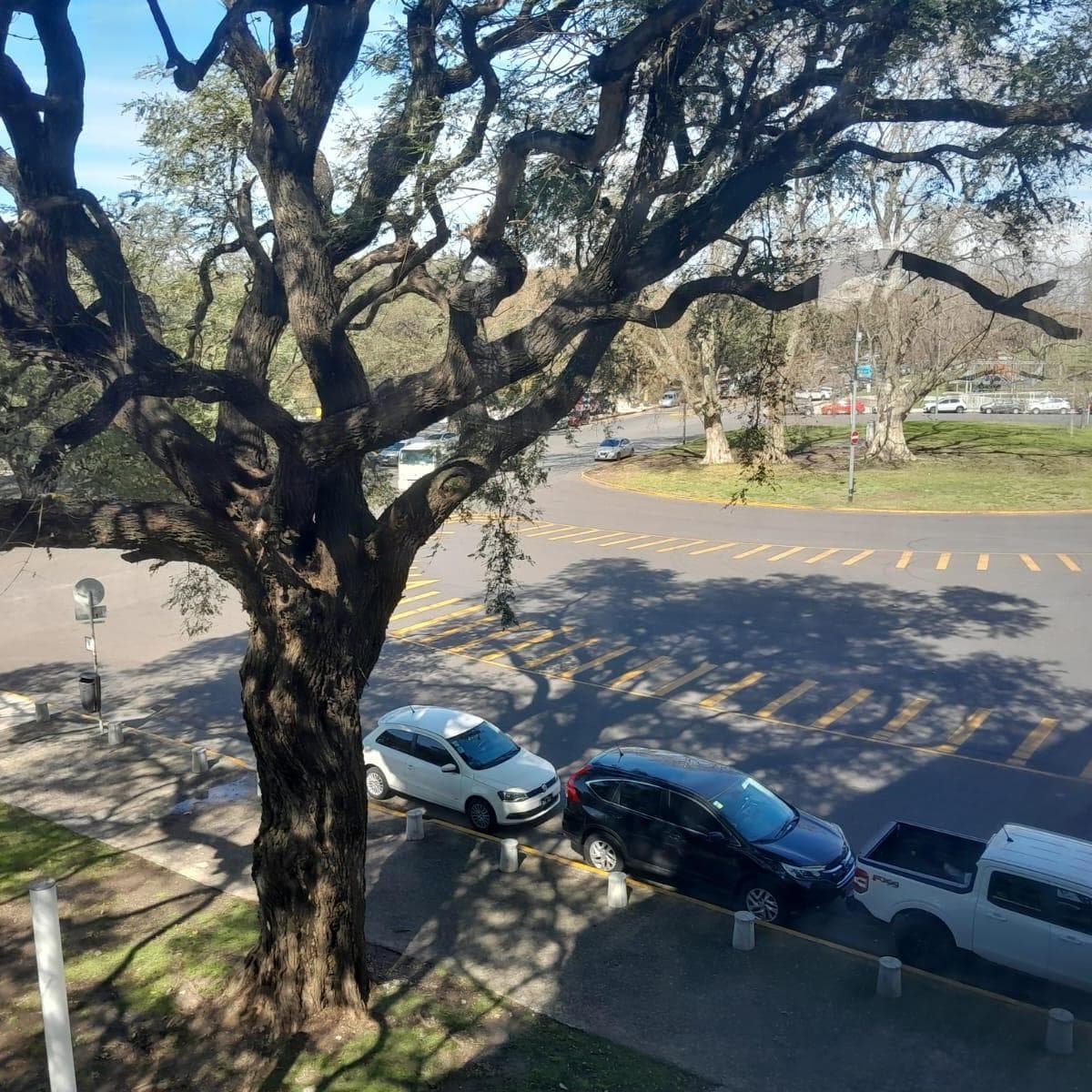 Alquiler - Oficina Aaa - Puerto Madero - 210 m² - a Estrenar - 3 Cocheras 1