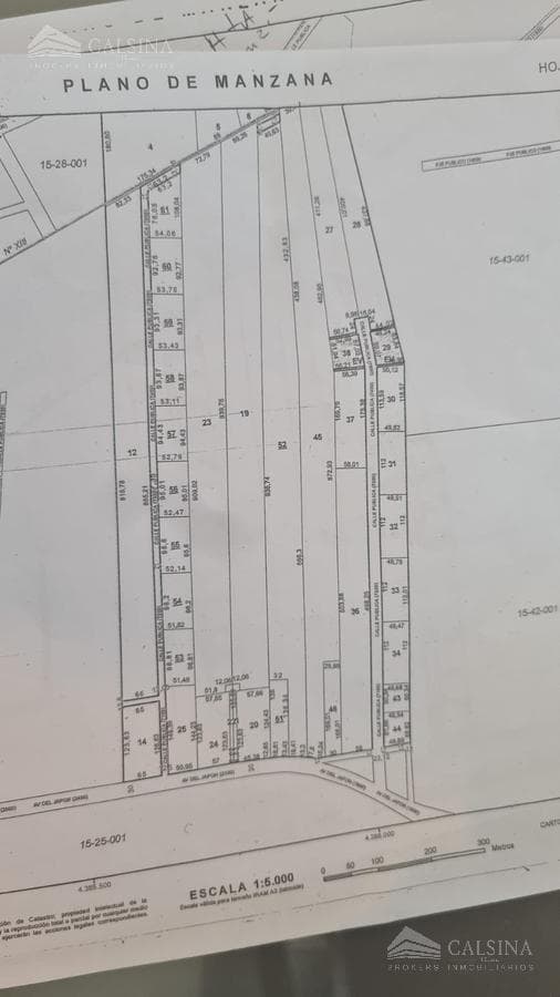 Plano 1