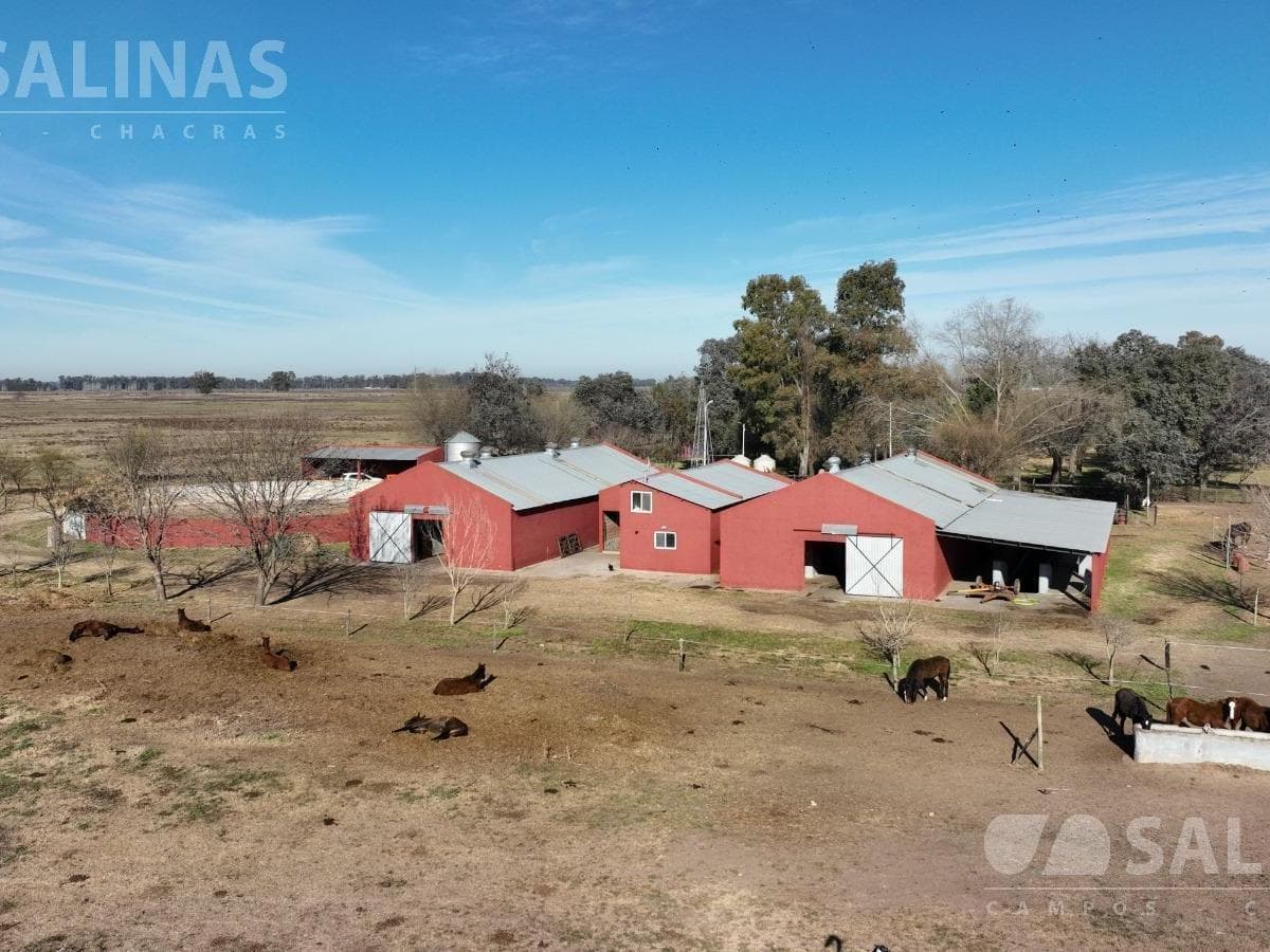 Imagen de la propiedad