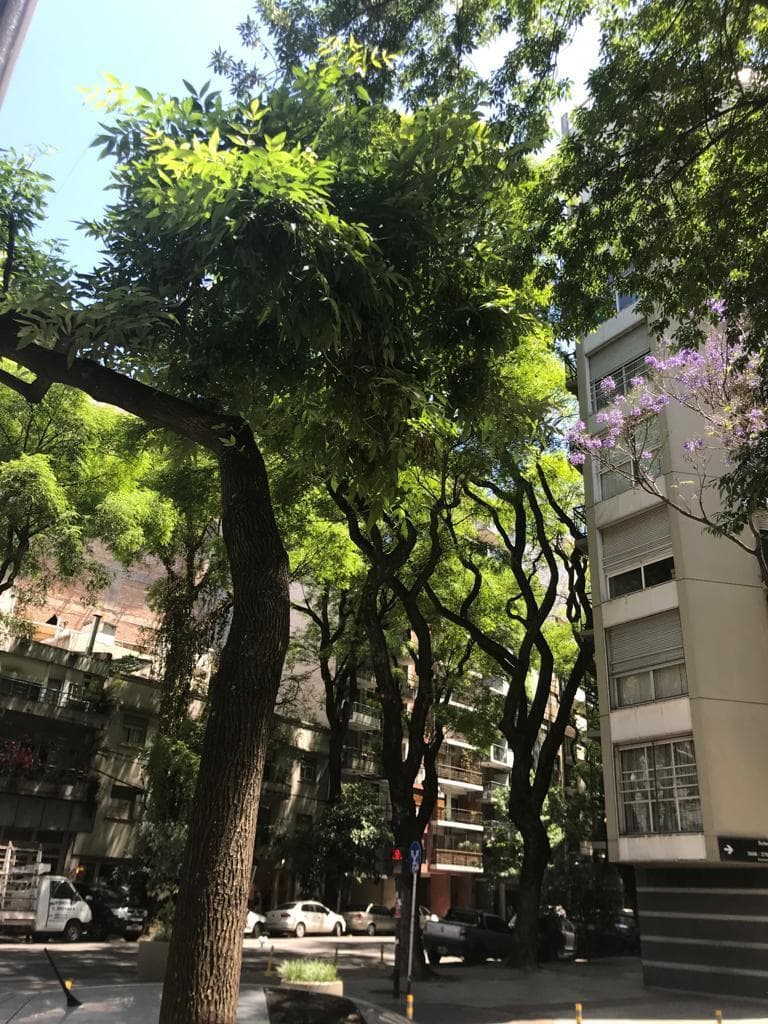 Propiedad en Argentina