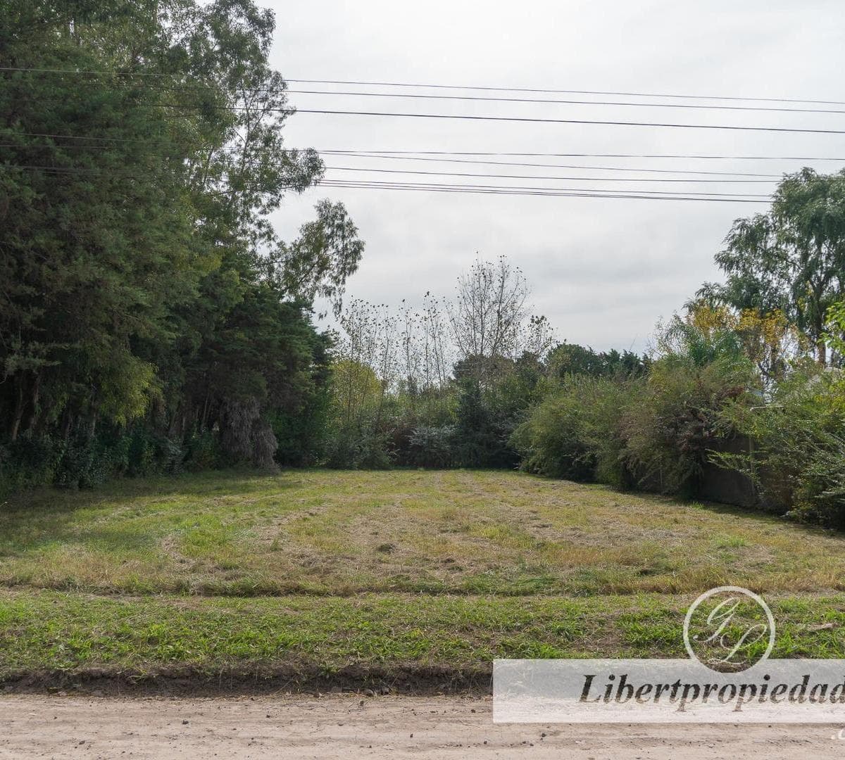 Imagen de la propiedad