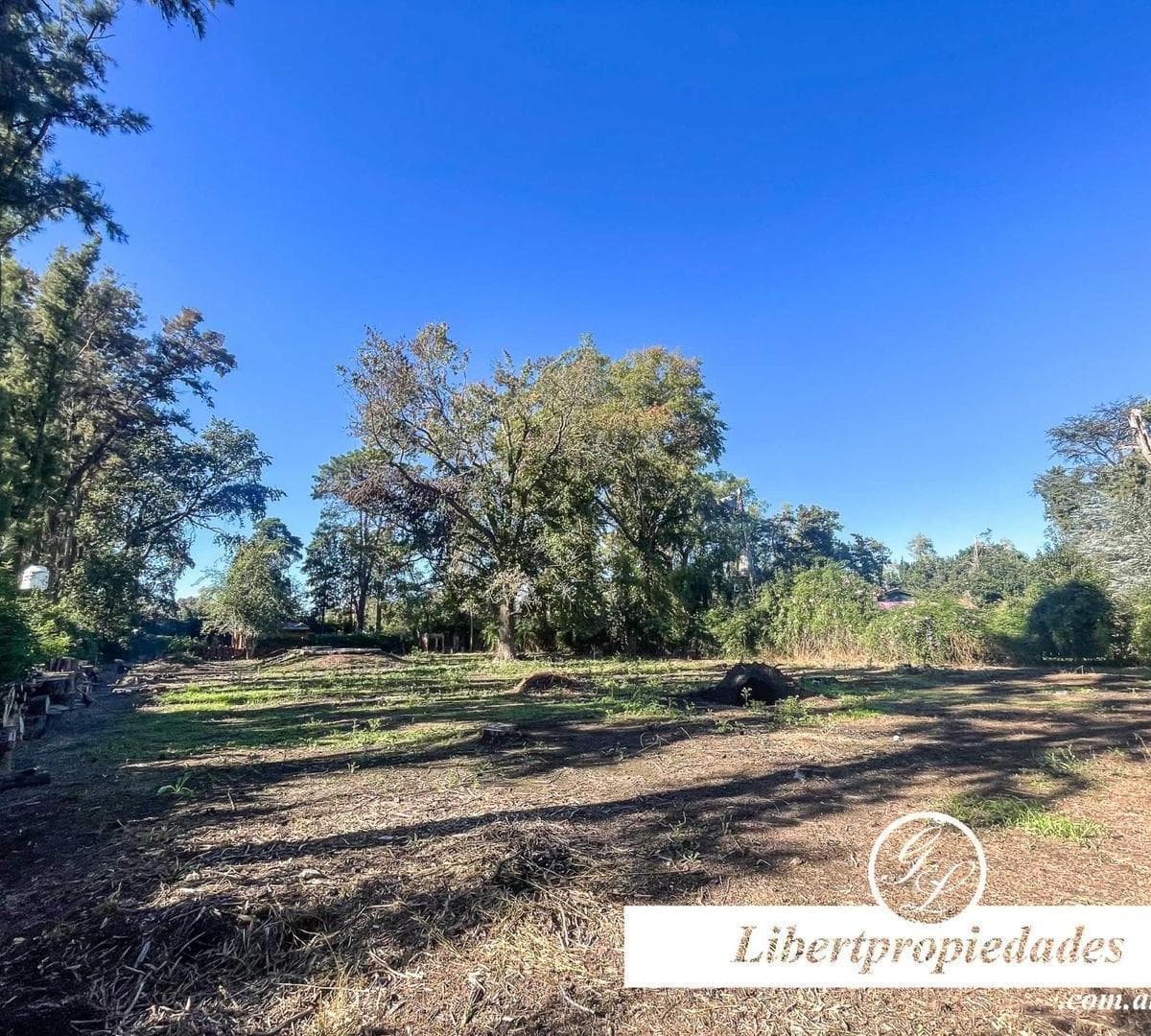 Imagen de la propiedad