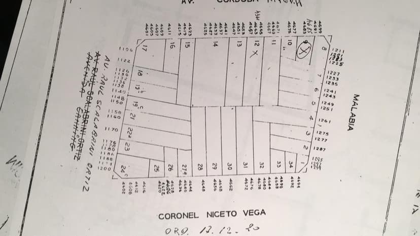 Plano 1