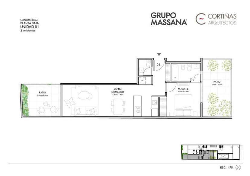 Plano 1
