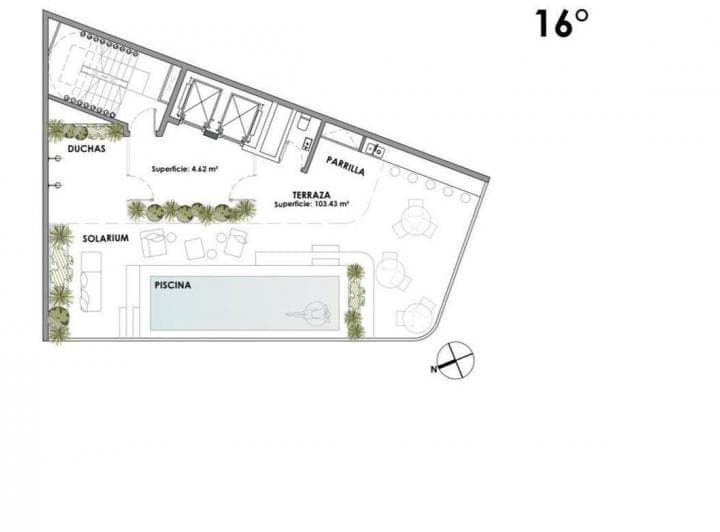Plano 8
