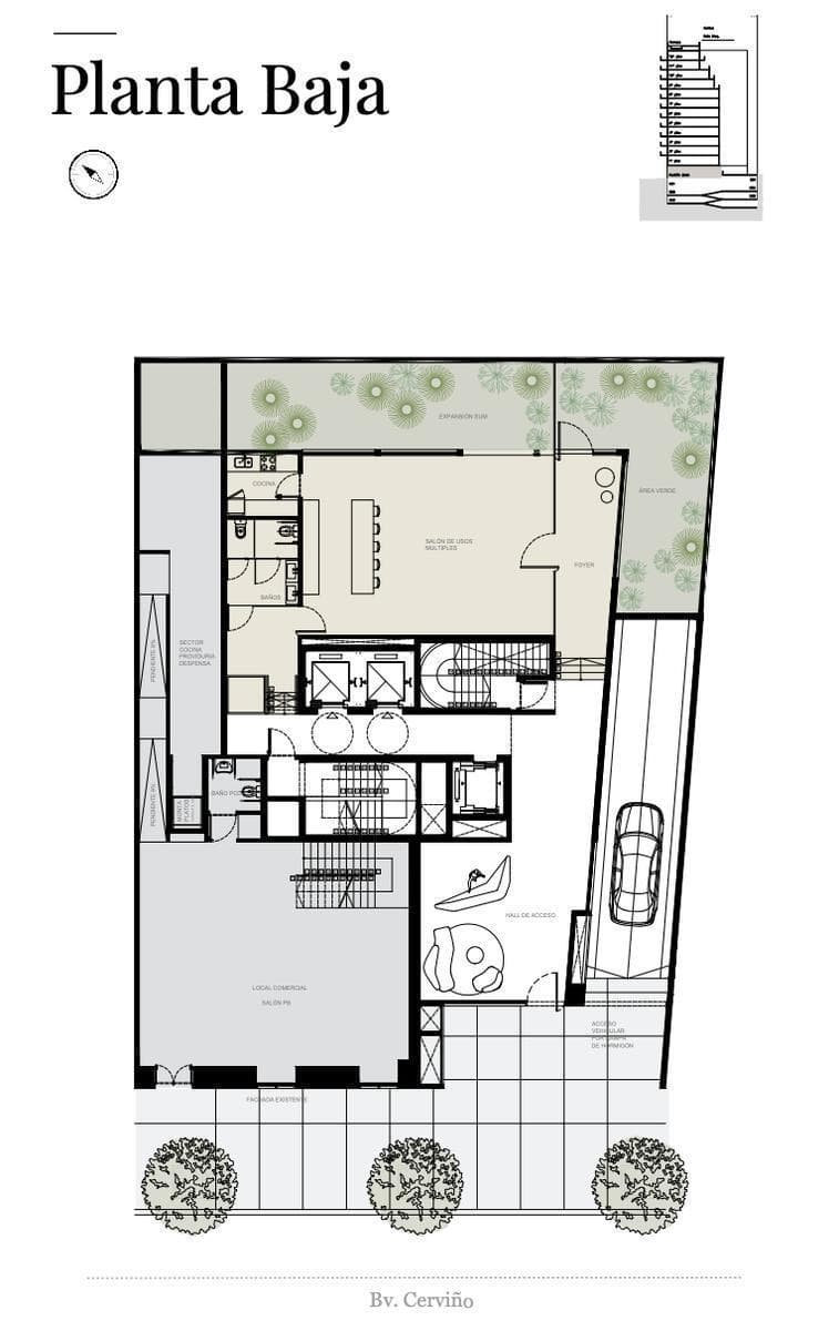 Plano 6