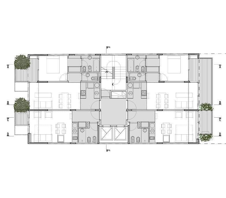 Plano 6