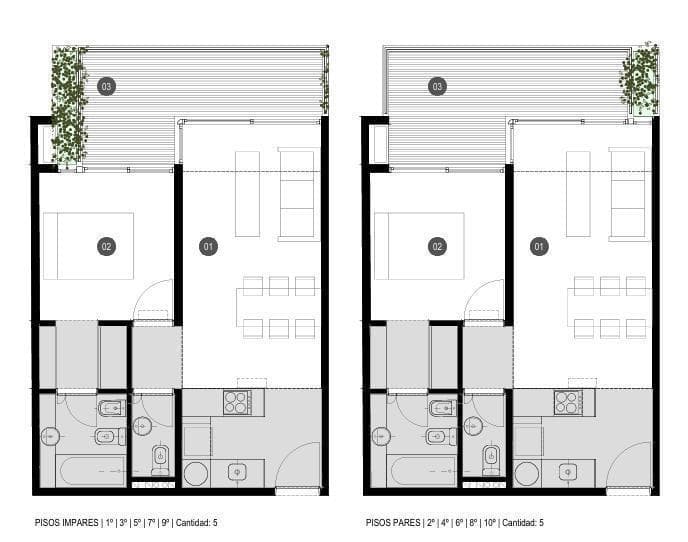 Plano 6