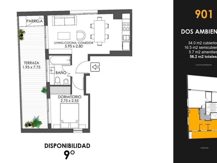 Plano 6