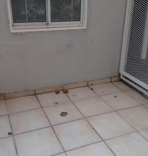 Planta baja, placard y patio. 5