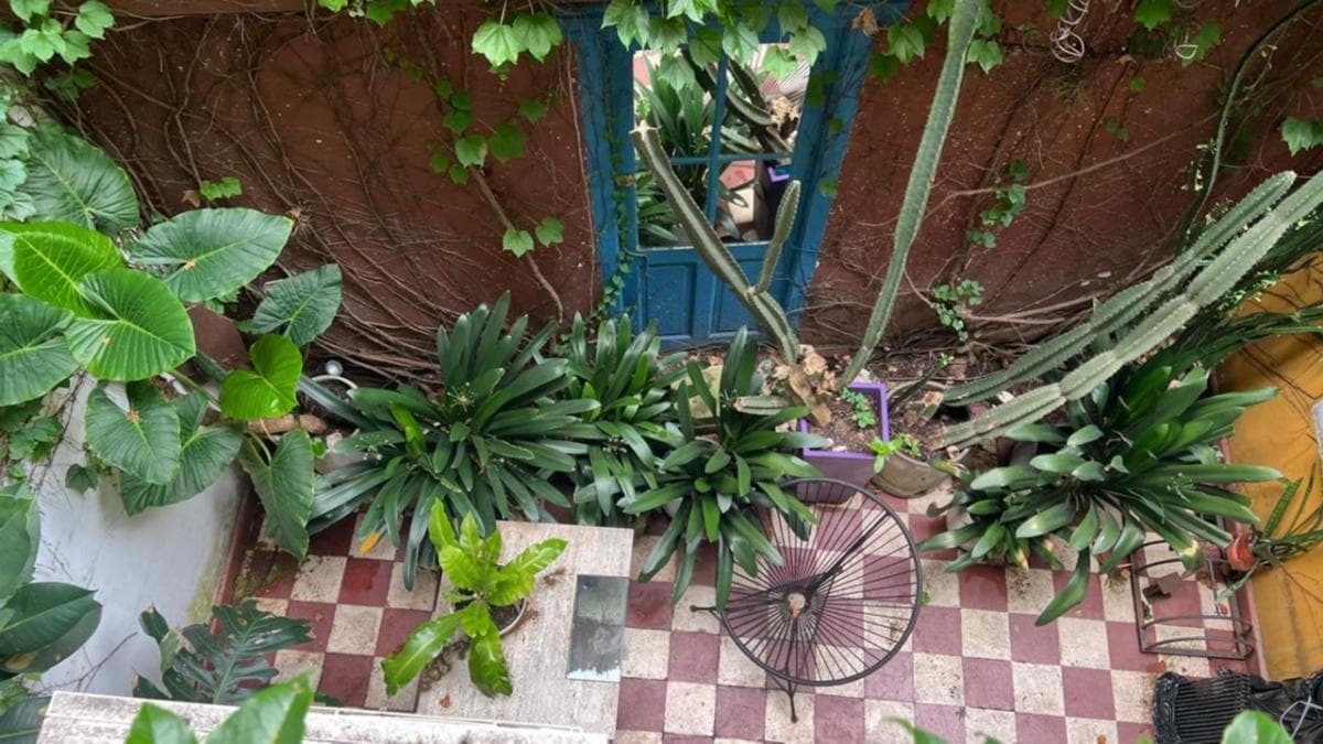 Imagen de la propiedad