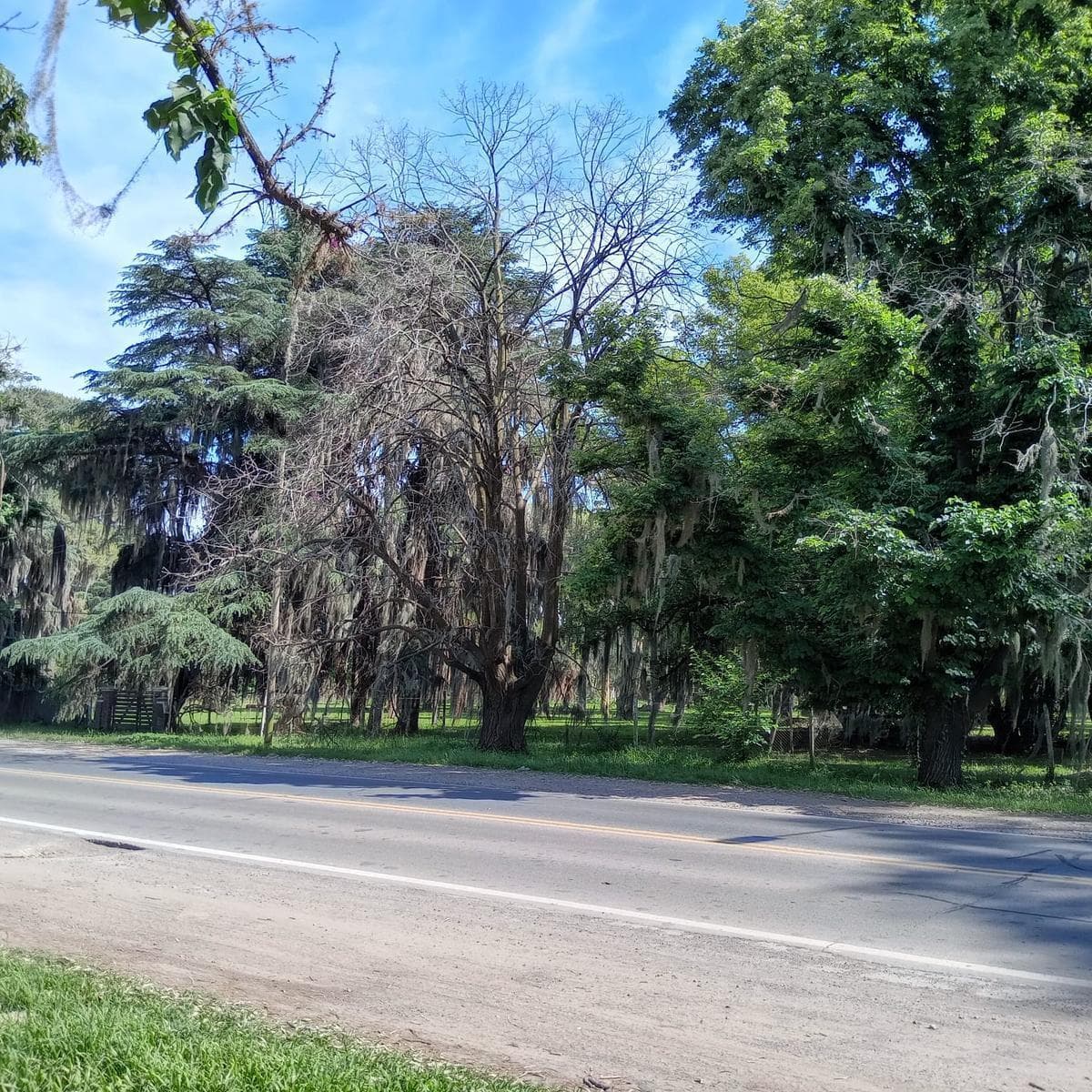 Propiedad en Argentina