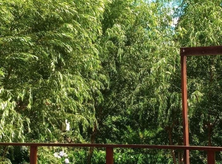 Casa en venta - 1 Dormitorio 1 Baño - 1.012Mts2 - Tigre 1