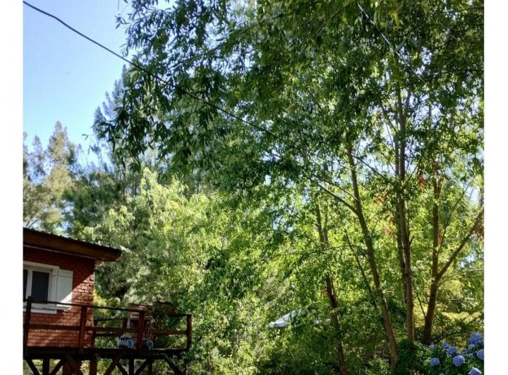 Casa en venta - 1 Dormitorio 1 Baño - 1.012Mts2 - Tigre 5