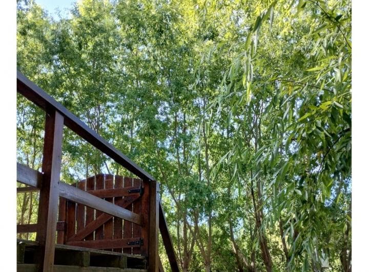 Casa en venta - 1 Dormitorio 1 Baño - 1.012Mts2 - Tigre 4
