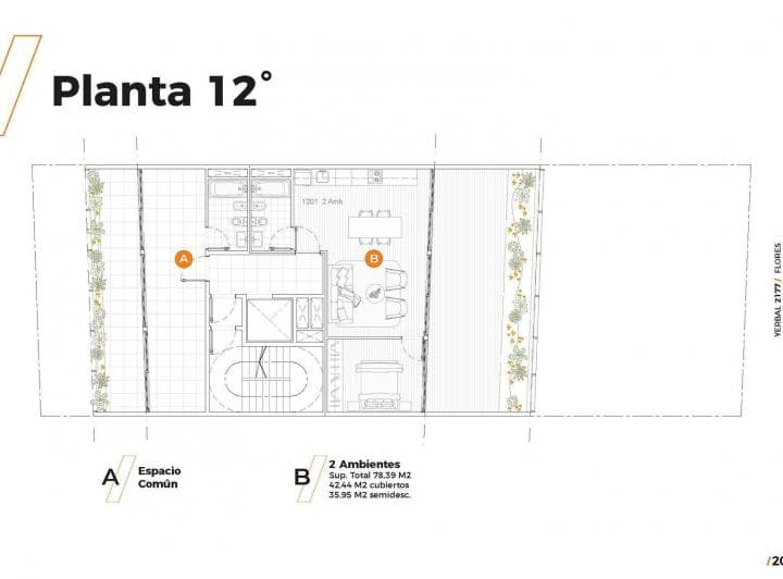Plano 9
