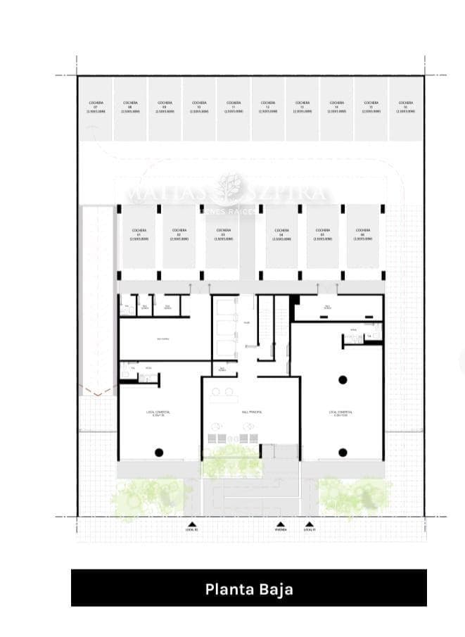 Plano 6