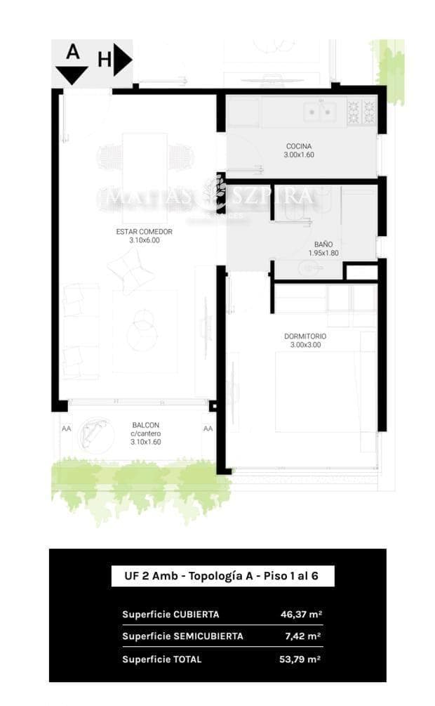 Plano 7
