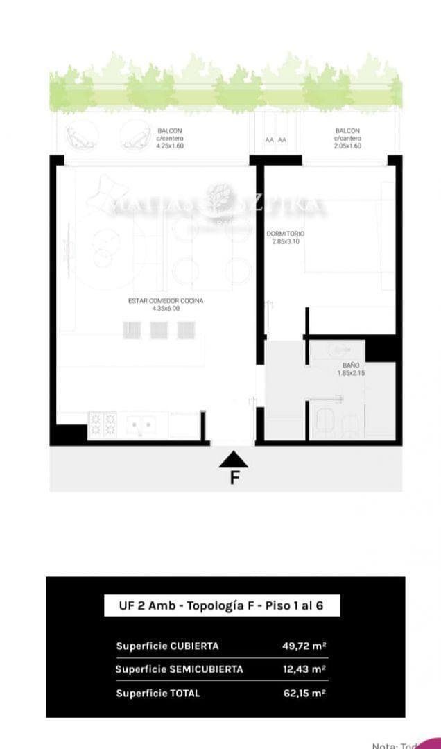 Plano 4