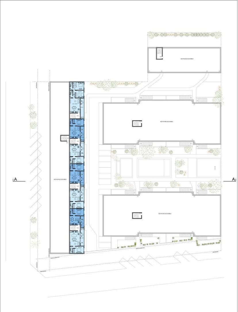 Plano 6