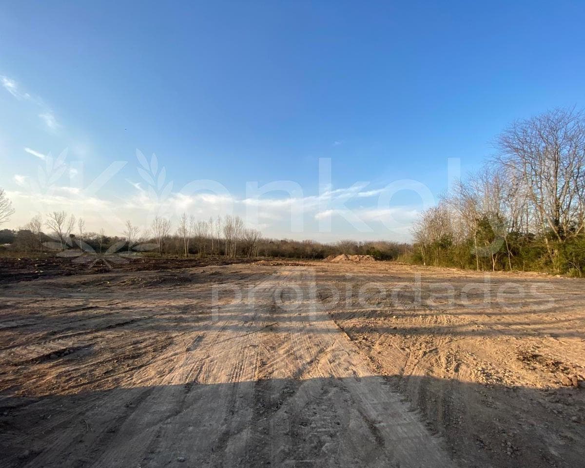 Imagen de la propiedad