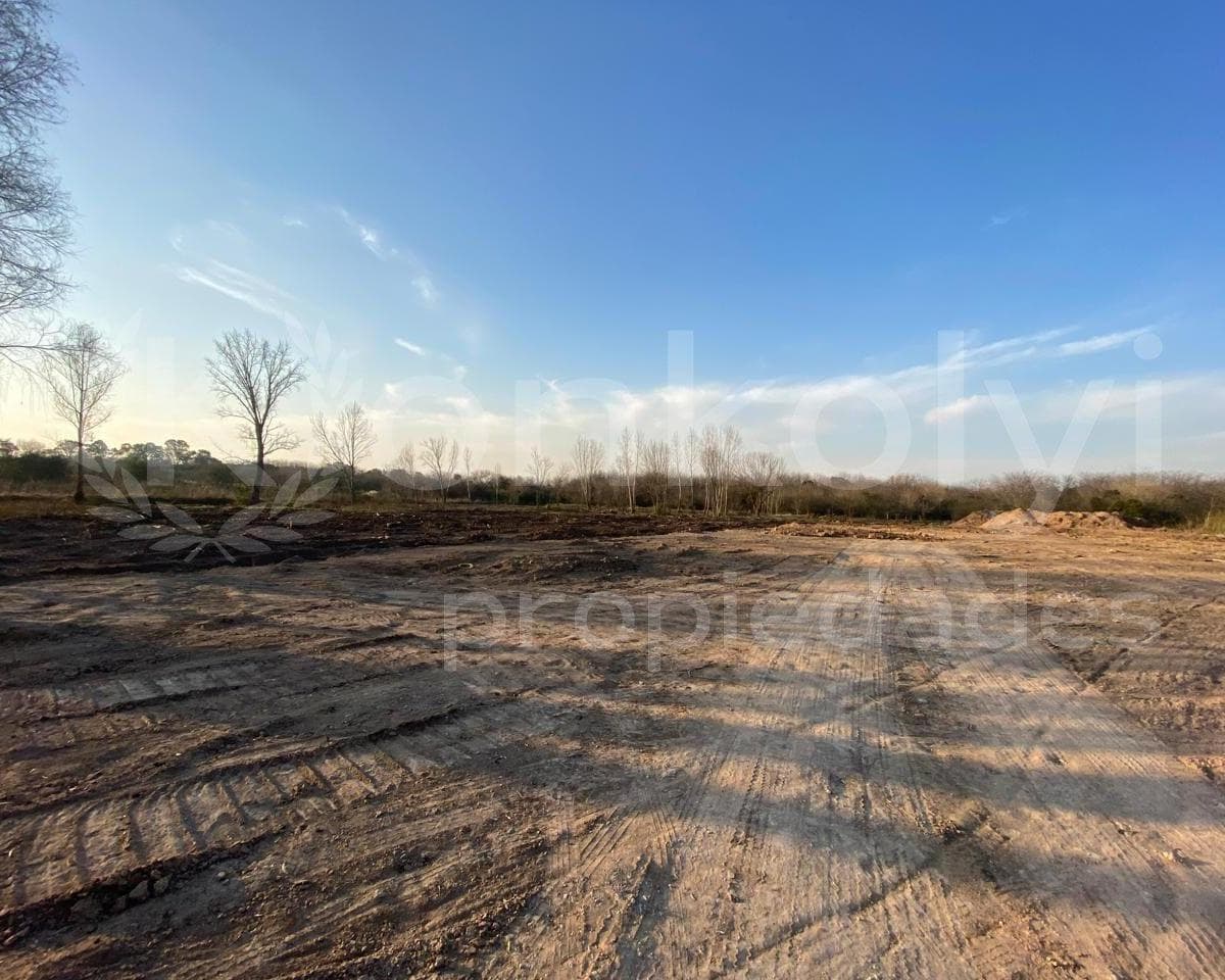 Imagen de la propiedad