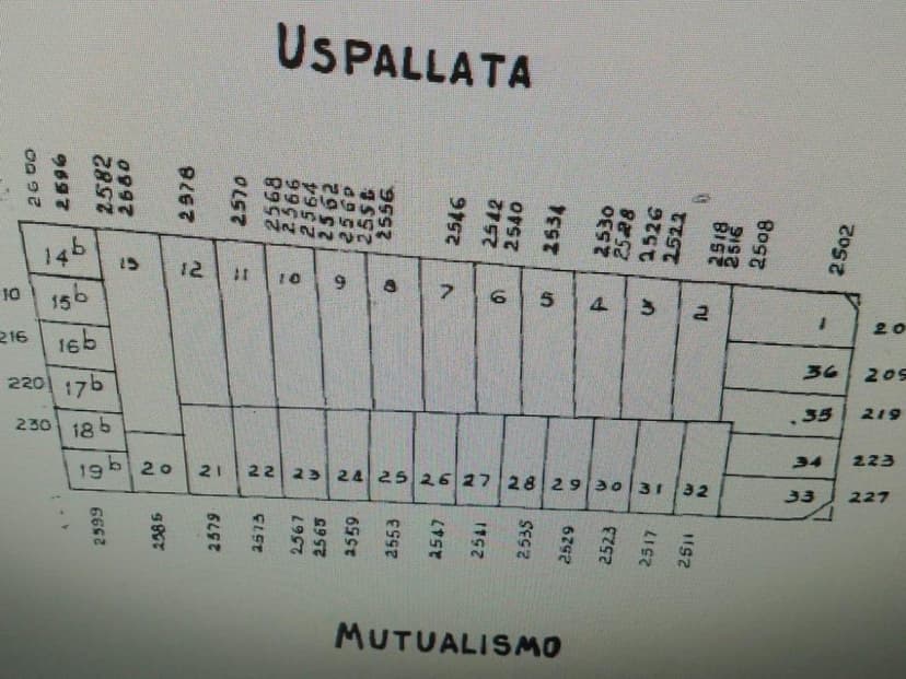 Plano 4