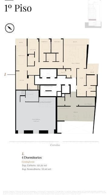Plano 8