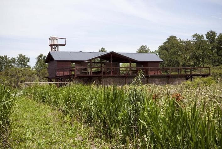 Chacras de Una Hectárea en un Secreto Lugar del Tigre 4