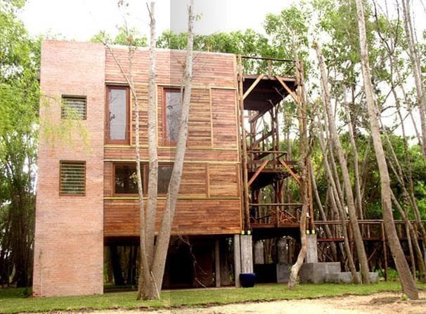 Chacras de Una Hectárea en un Secreto Lugar del Tigre 3
