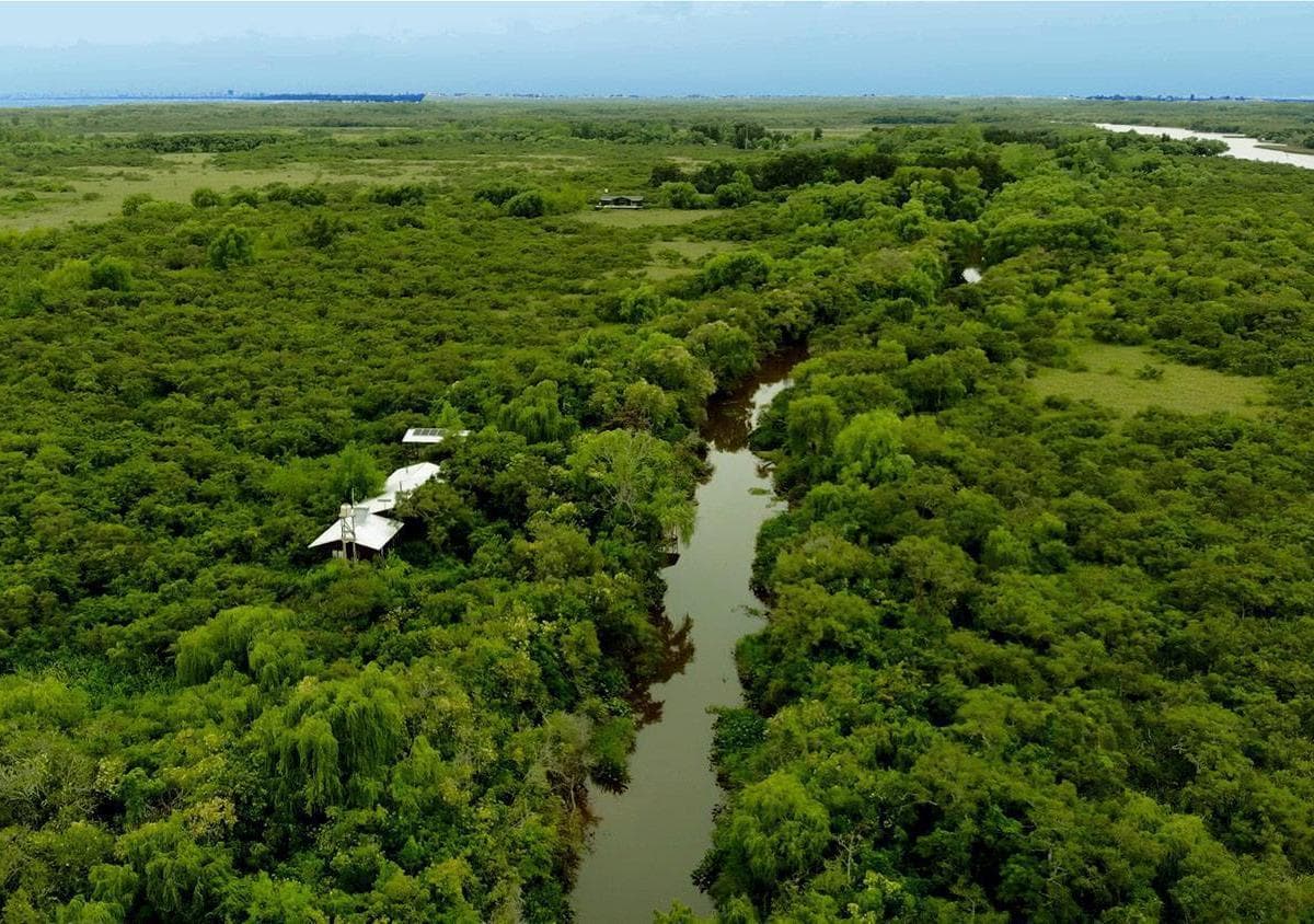 Chacras de Una Hectárea en un Secreto Lugar del Tigre 4